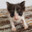 Mowow's player profile icon